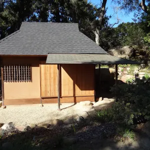 Tea House Display Garden, Spring in the Garden, February 2013, SBBG