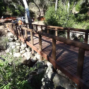 new Campbell Bridge, Mission Canyon, Spring in the Garden, February 2013, SBBG