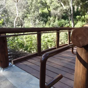 new Campbell Bridge, Mission Canyon, Spring in the Garden, February 2013, SBBG