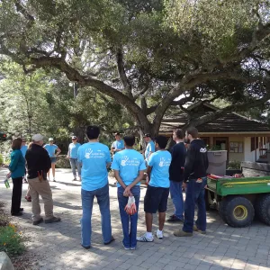 Citrix volunteers, SBBG staff, entrance oak, May 2013