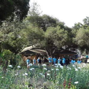 Citrix volunteers, SBBG staff, entrance oak, May 2013