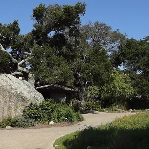 Blaksley Boulder, douglas fir is removed, May 2013, Information Kiosk, panorama