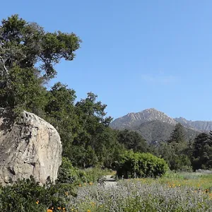 Blaksley Boulder, douglas fir is removed, May 2013, panorama