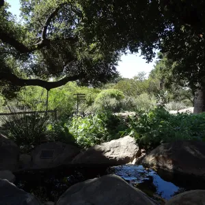 Under the Meadow Oaks