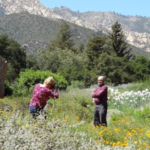 Photographer in the Meadow, Stacy Bloodworth, Dieter Wilken portrait session