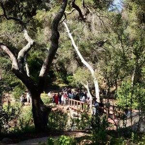 Campbell Bridge opening event, February 14, 2013