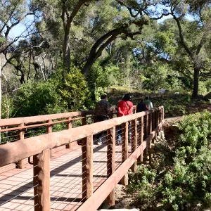 Campbell Bridge opening event, February 14, 2013