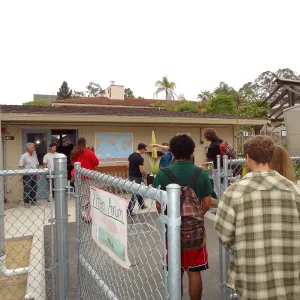 Titan arum, Corpse flower at UC Santa Barbara, SBBG staff field trip