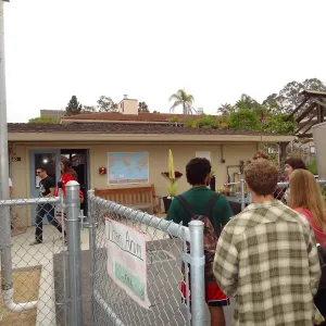 Titan arum, Corpse flower at UC Santa Barbara, SBBG staff field trip