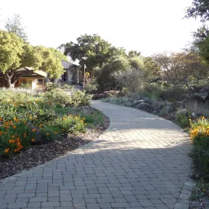 Lower Meadow and pavered path leading back to the Courtyard, late afternoon sunlight