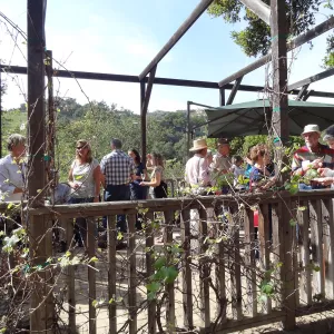 Wine and Cheese Lecture Series kick-off event with Jaffurs Wine Cellars