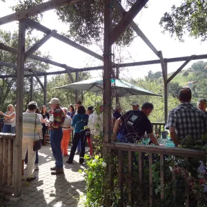 Wine and Cheese Lecture Series kick-off event with Jaffurs Wine Cellars