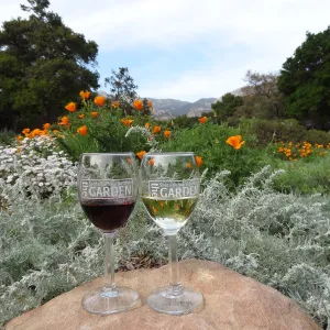 Garden wine glasses in the Meadow, reflection, wildflowers, sandstone boulder