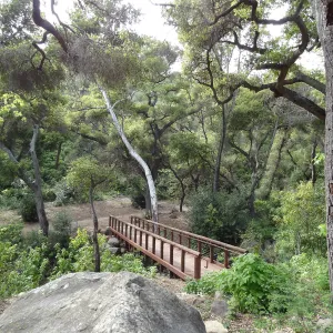 new Campbell Bridge, March 2013