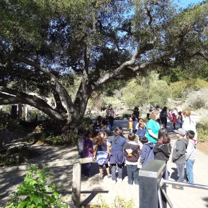 school children arrive at the Garden entrance for Docent tours