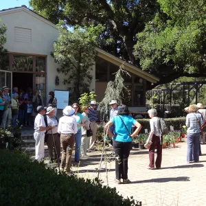 Special Garden Tour for a group of garden enthusiasts from England at the SBBG