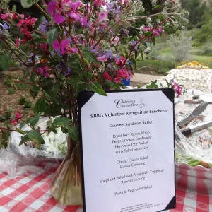 Volunteer Recognition event 2013, floral arrangement with wildflowers from the Garden, buffet table and menu