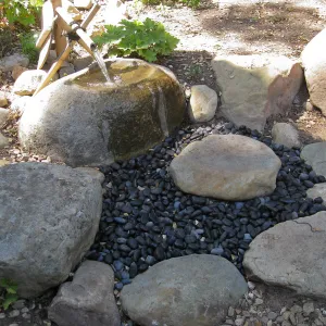 Tsukubai at the Teahouse