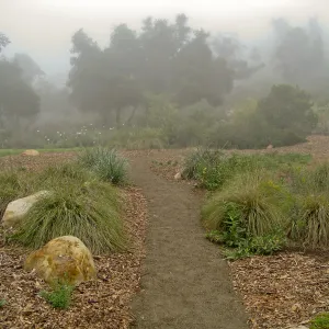 Pathway in upper Meadow