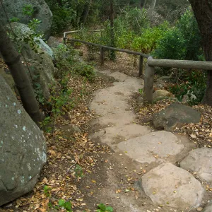 Stone steps from Manzanita Section down to Creek