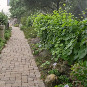 Home Demonstration Garden