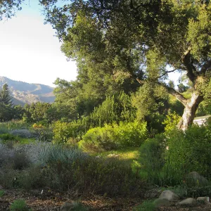 Garden entrance