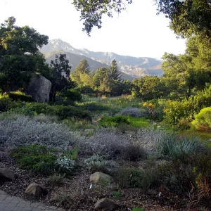 Ground Cover Display