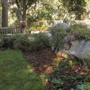 Home Demo Garden, SBGG