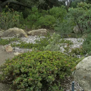 Home Demo Garden, SBGG