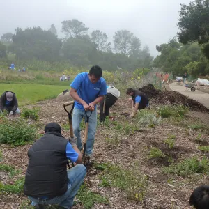 Volunteers from Citrix Corp