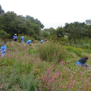 Volunteers from Citrix Corp