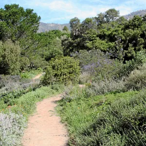 Porter Trail, West path north