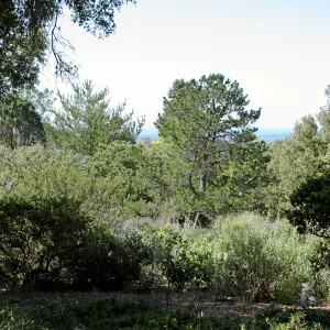 Porter Trail,East path, southwest
