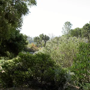 Porter Trail,view from Ada Wood bench, looking south