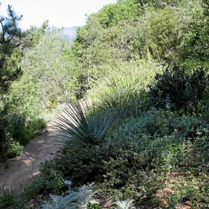 Porter Trail, North Switchback, North