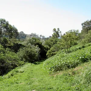 Porter Trail, East slope, south, lower path