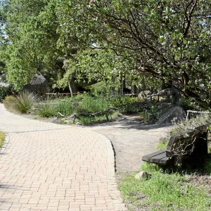 Meadow, main path south