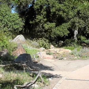 Meadow,Main path, northwest