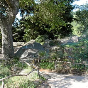 Meadow,Main path, west
