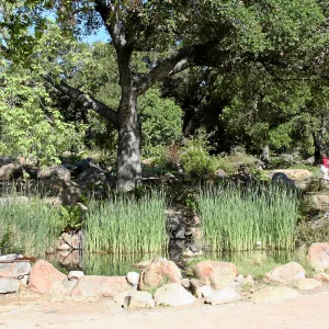Meadow, Pond from main path, northwest