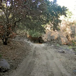 Fire damage in the Canyon - Island Section