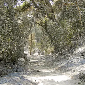 Jesusita Fire, damage in the Canyon
