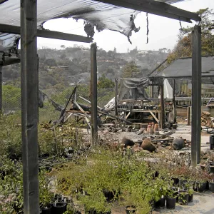 Jesusita Fire damage to Horticulture Nursery