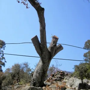 Jesusita Fire, Pritchett Trail