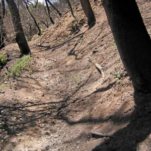 Erosion on the Pritchett Trail post Jesusita Fire