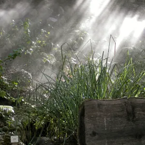 Irrigation press pictures