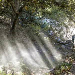 Irrigation press pictures