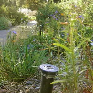 Irrigation press pictures