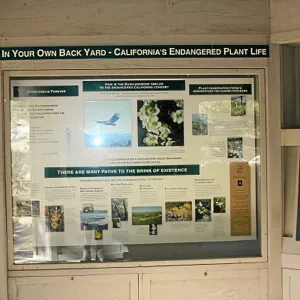 Information Kiosk, Terrarium site
