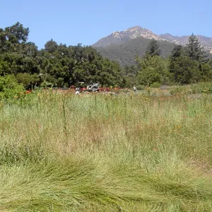 Irrigation installation, Meadow Lawn 2008